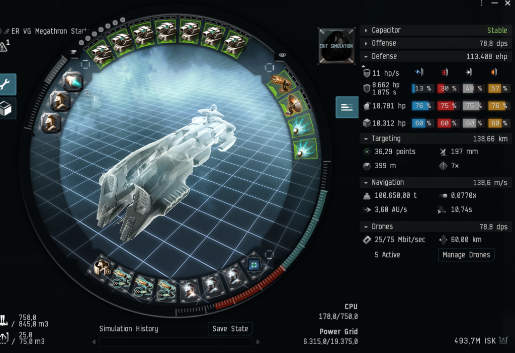 ER VG Incursion Megathron fit